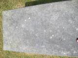 image of grave number 540486